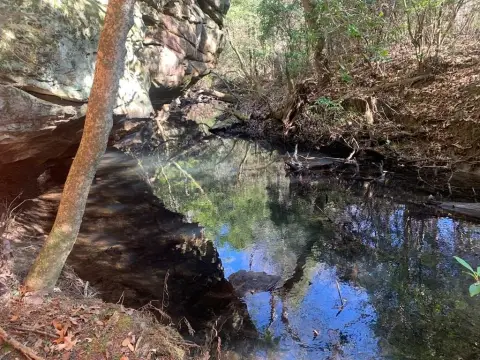 Unrestricted Land with Creek Frontage