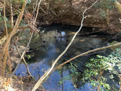 Unrestricted Land with Creek Frontage