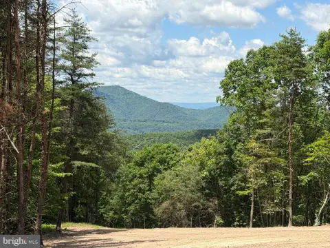 Wooded Recreational Hunting Land
