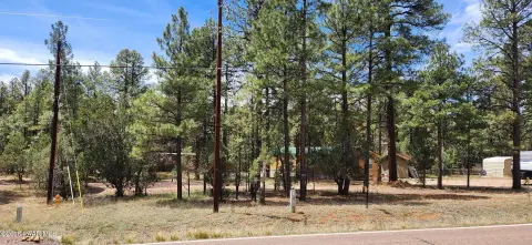 Land in Overgaard, Arizona