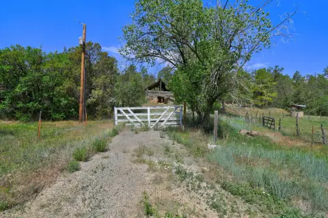 Land For Sale, Tijeras, NM
