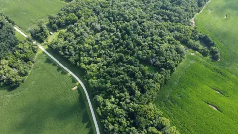 Pike County Hunting and Recreation