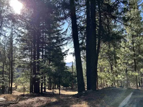 Residential Development Land with Pasture