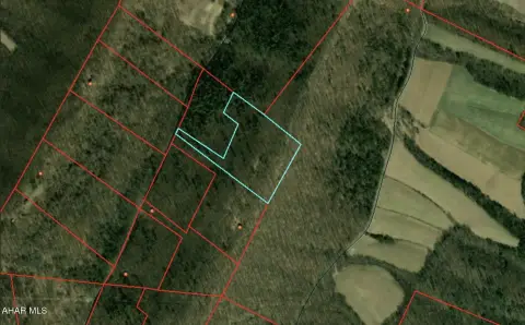 Wooded Hunting Land