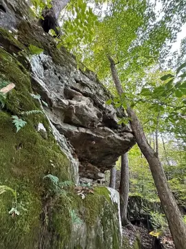 Land in Wilder, Tennessee