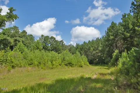 Managed Timberland with Creek