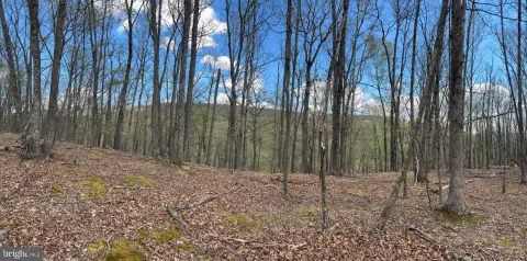 Picturesque 10.34-Acre Lot in Baker