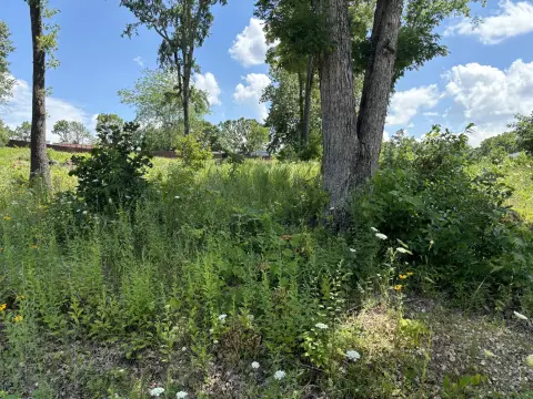 Shell Knob Lakeview Lot