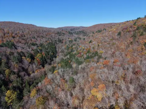 Recreation Land with Creek