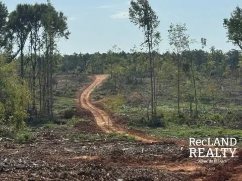 Hunting Land with Creekside Hardwood