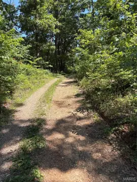 Heavily Wooded Land