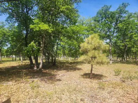 Land in Oak Wood Estates