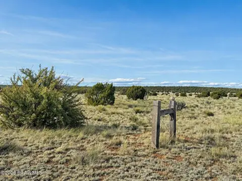 Spacious Seligman Land Parcel