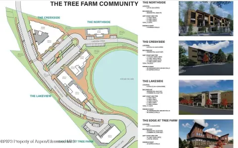 Tree Farm Development Opportunity