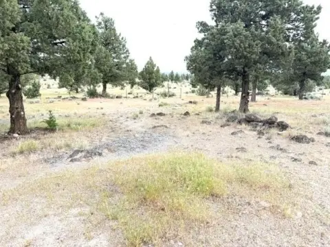 Cul-de-Sac Residential Building Lot