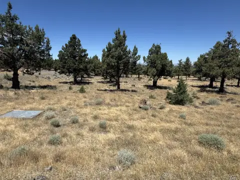 Residential Lot in Lake Shastina