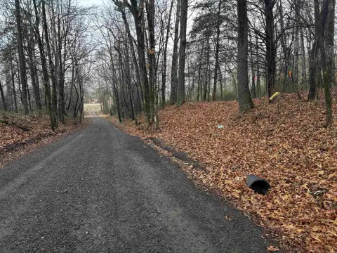 Wooded Land Near Petit Jean