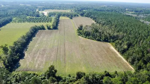 Agricultural Land with Cotton Cultivation
