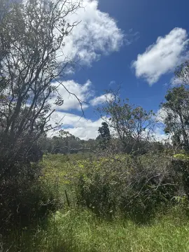 Subdividable Farmland Tract