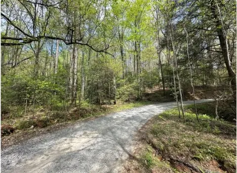 Ellijay, GA Land Opportunity