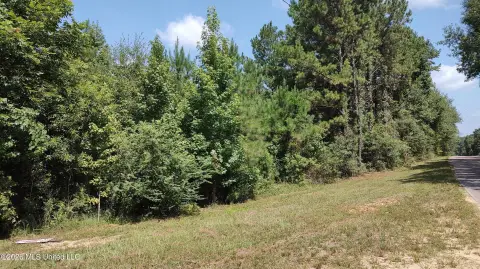 Wooded Hunting Land