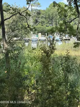Wooded Waterfront Land