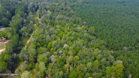 Wooded Recreational Land