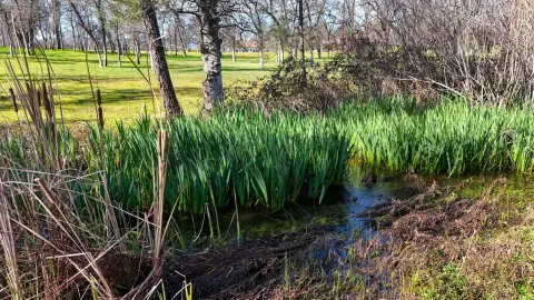 Redding Homesite in Tierra Oaks