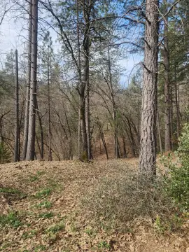 Lakehead Land Near Lake Shasta