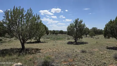 Land Near National Forest