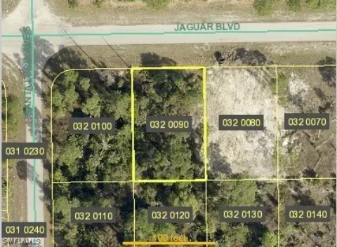 Residential Land in Lehigh Acres