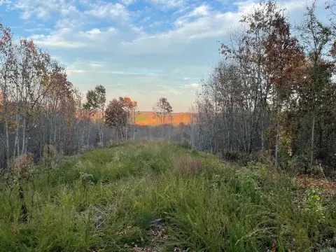 Stewart, TN Land Opportunity