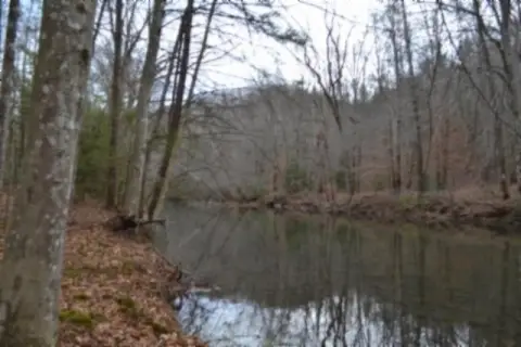 Crawford, TN Land with River
