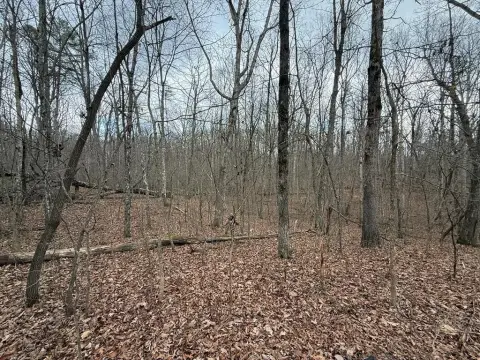 2.58 Acre Wooded Property