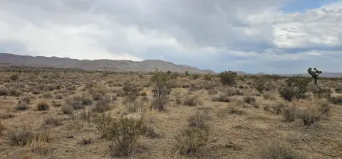 Rosamond Land For Sale