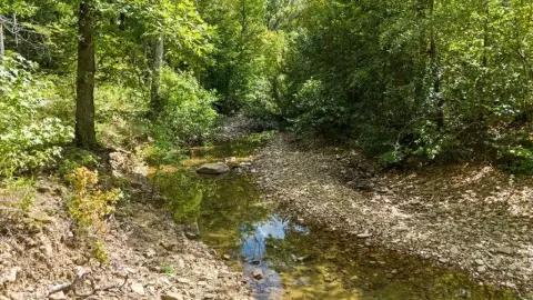 Creek Lot in Boulder Ridge