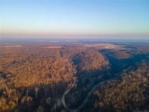 Timbered Hunting Land