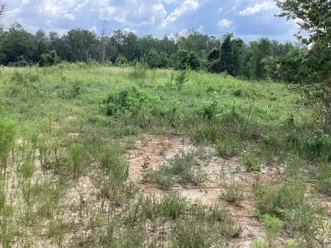 Greenbrier Acreage for Custom Home