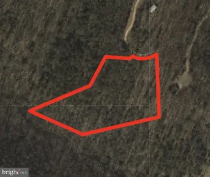 Wooded Mountain Land Parcel