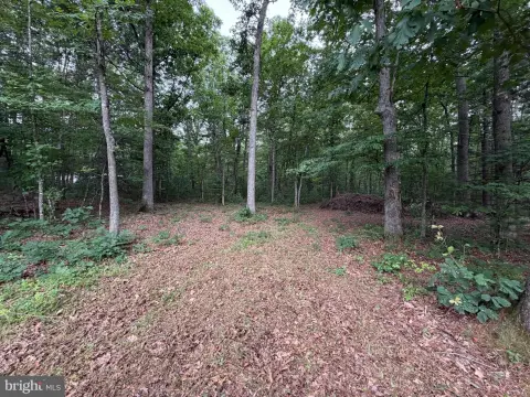 Wooded Mountain Retreat Lot