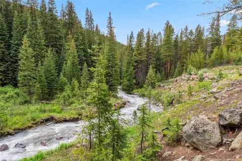 Land with Snake River Frontage