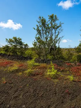 Corner Residential Land Parcel