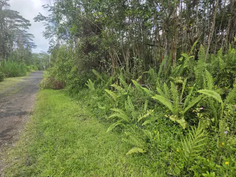 Residential Land Lot