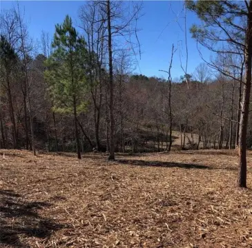 Creek Front Land in Mineral Bluff