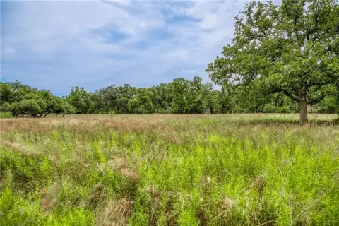 24.93-Acre Hunting Land