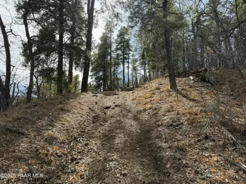 Land in Prescott National Forest