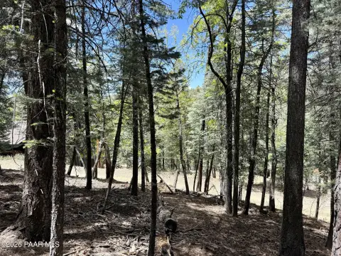 Land in Prescott, Arizona