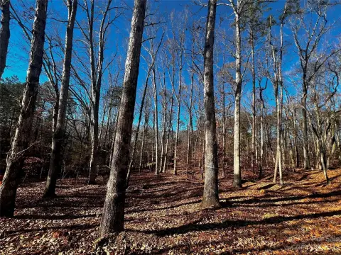 Davidson, NC Land Opportunity