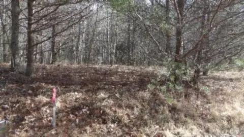 9.75 AC Recreational Land