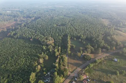 Pine Timber Hunting Land